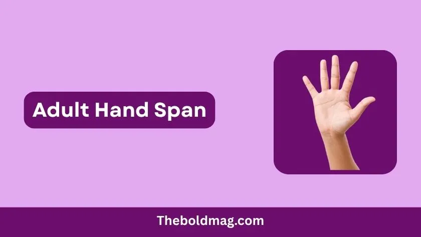 adult hand span