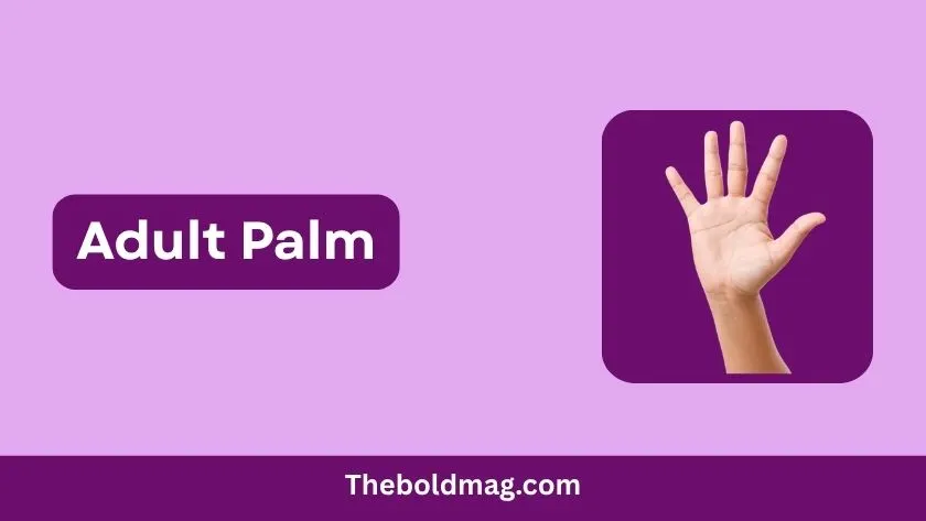 adult palm
