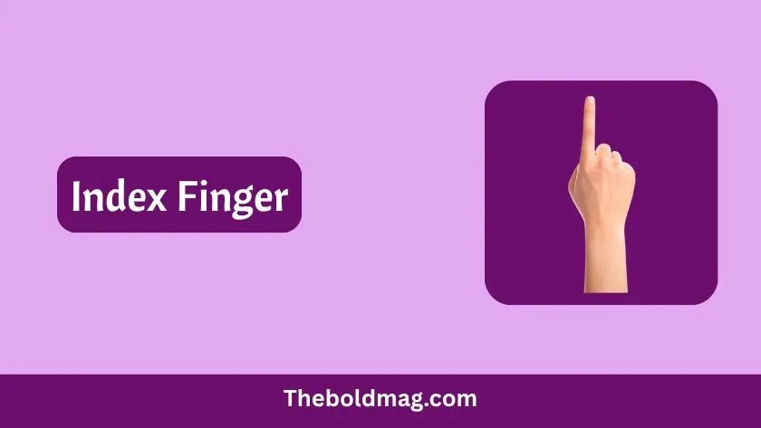index finger