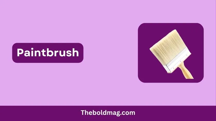 paintbrush