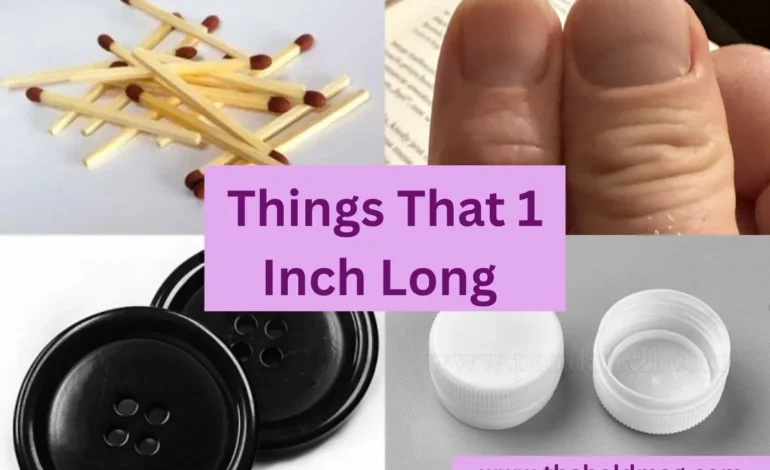 objects that are 1 inch long