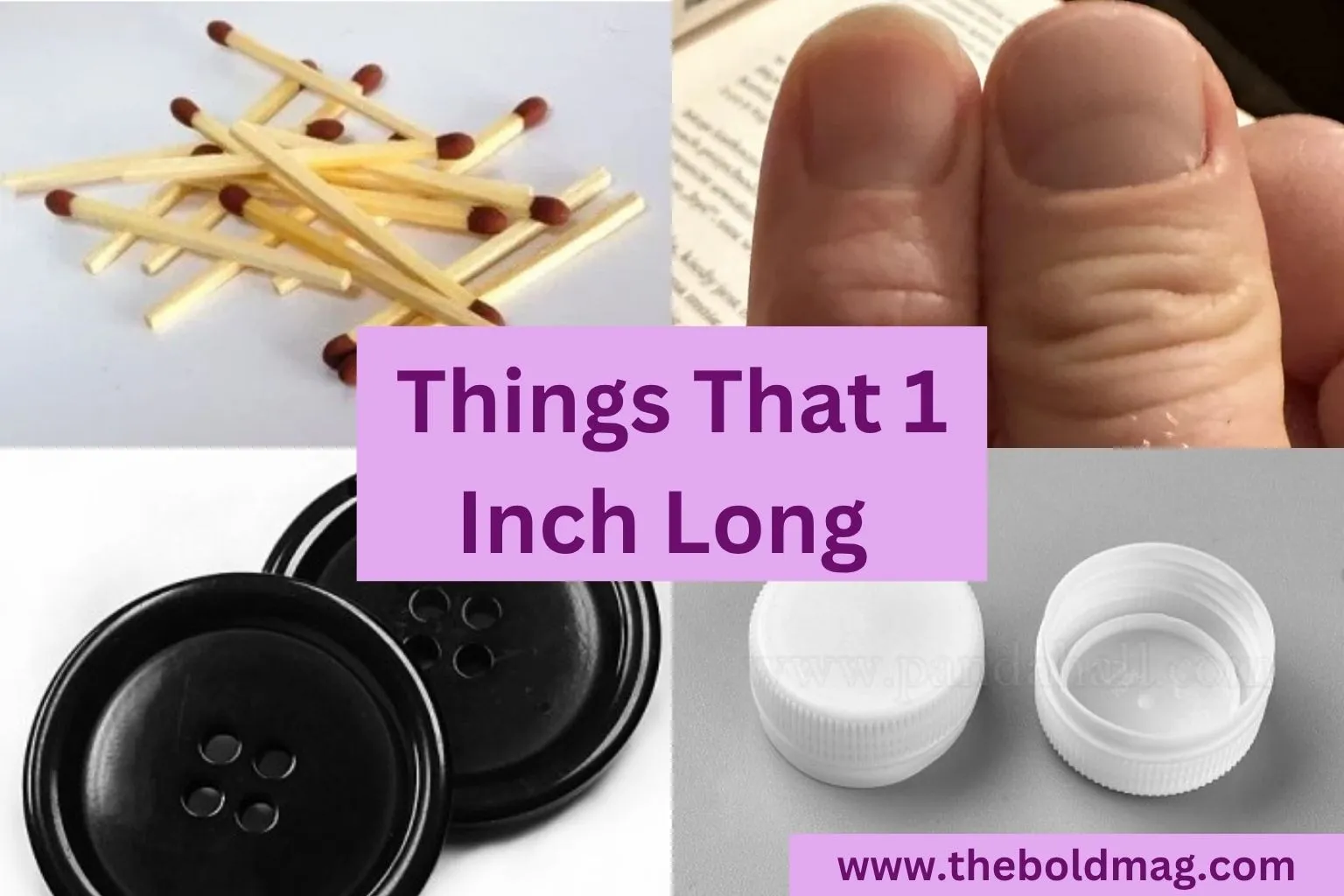15 Everyday Things That Are About 1 Inch Long