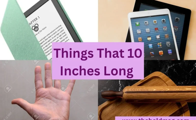 objects that are 10 inches long
