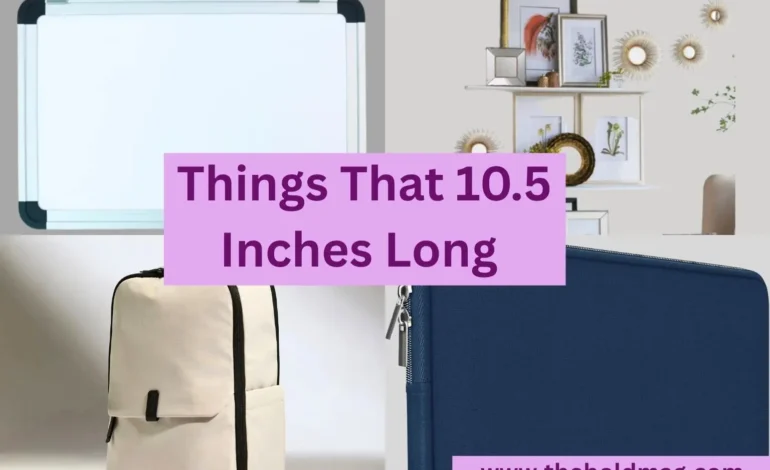 15 Everyday Objects That Are About 10.5 Inches Long