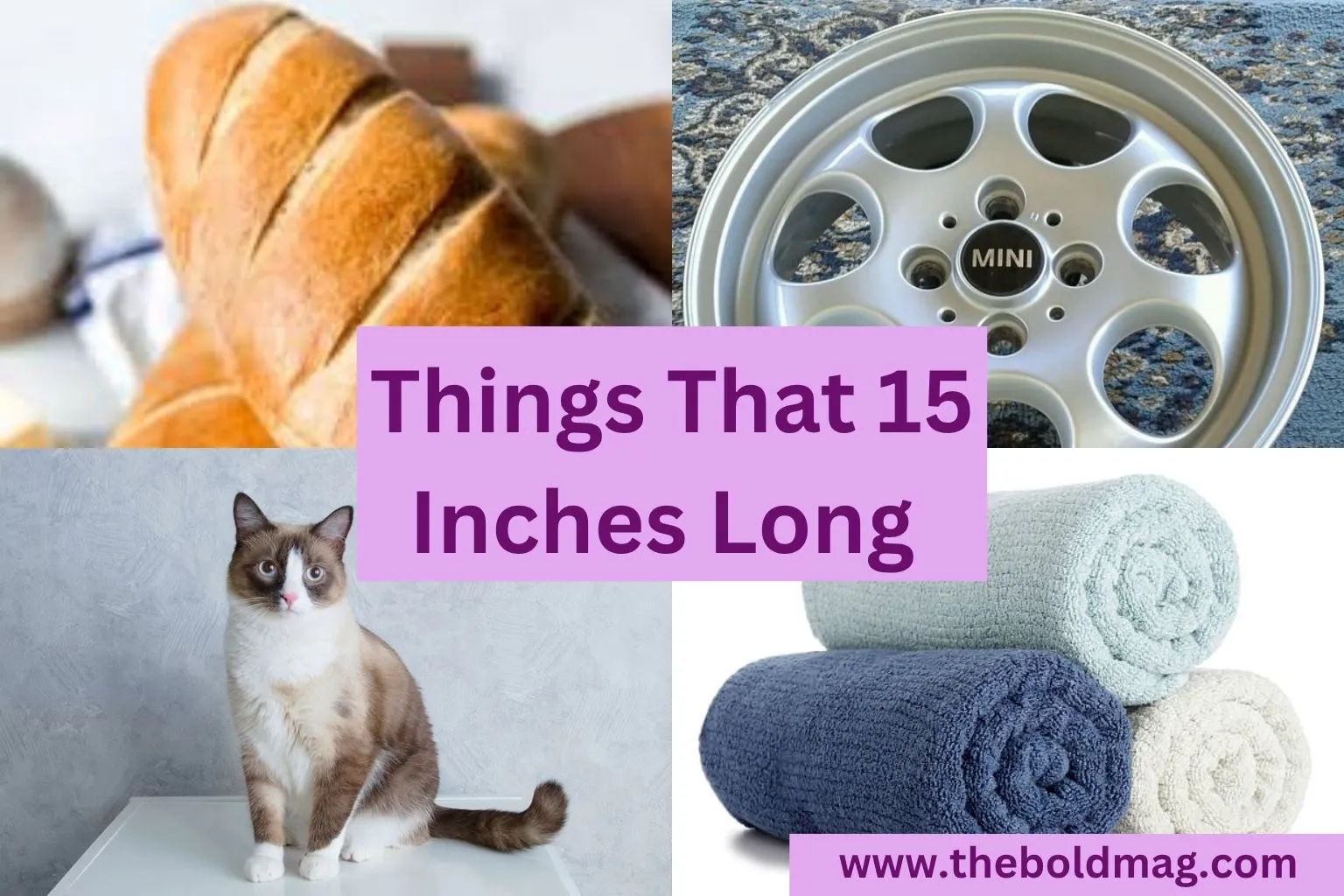 10 Everyday Objects That Are 15 Inches Long