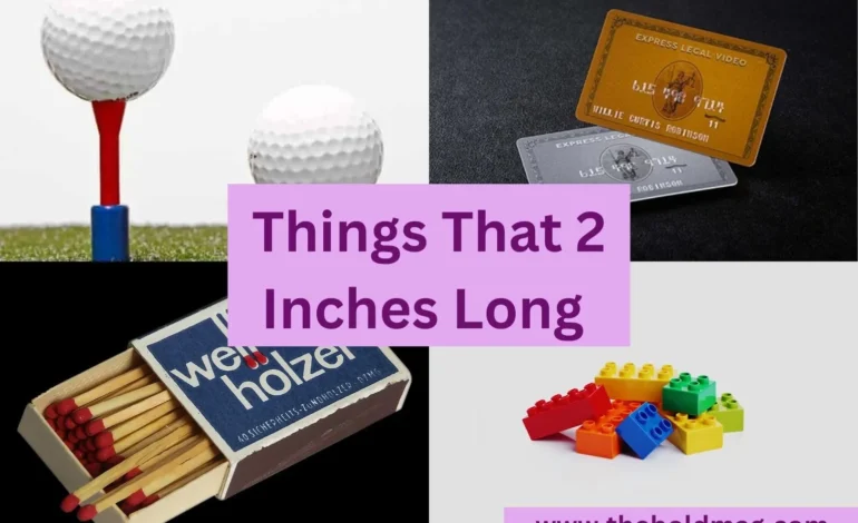14 Everyday Objects That Are About 2 Inches Long