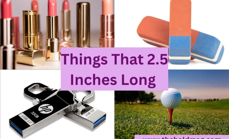 objects that are 2.5 inches long