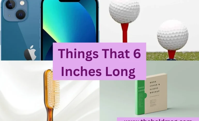 objects that are 6 inches long