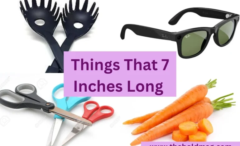 15 Everyday Objects That Are About 7 Inches Long
