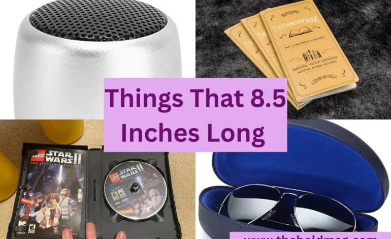 15 Everyday Objects That Are About 8.5 Inches Long