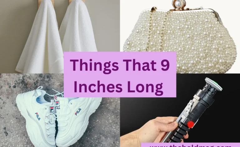 15 Everyday Objects That Are About 9 Inches Long