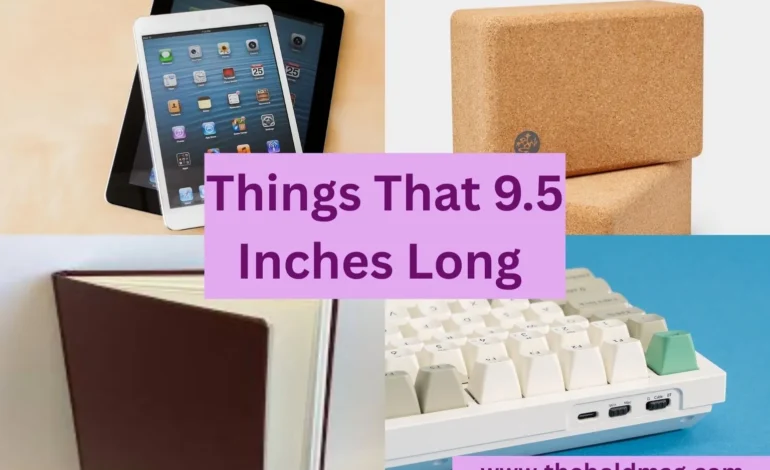 objects that are 9.5 inches long