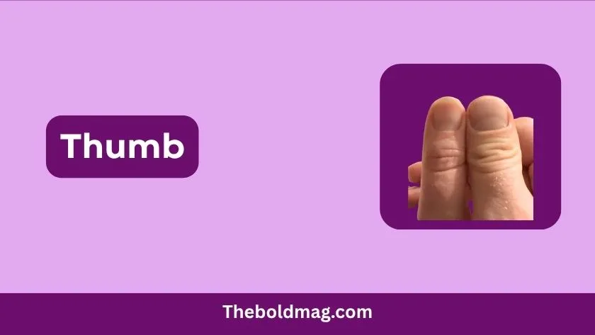 thumb